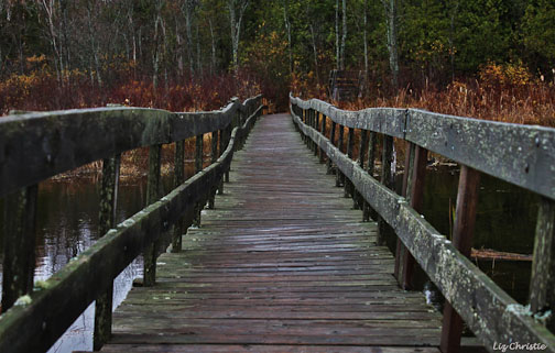 boardwalk